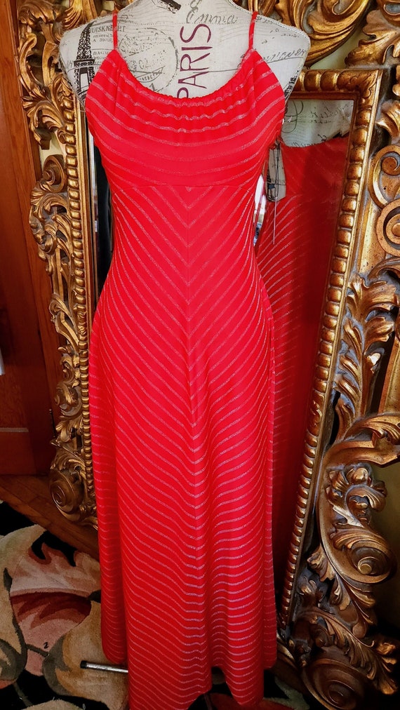 Vintage 70's Red Maxi Dress with Metallic Silver C