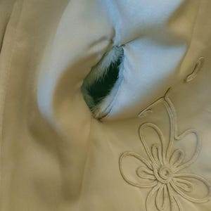 May include: Close-up of a pale beige fabric with a tear, revealing a dark interior. The fabric has a satin-like sheen and is decorated with embroidered floral designs. The tear exposes a fluffy, light-coloured material.