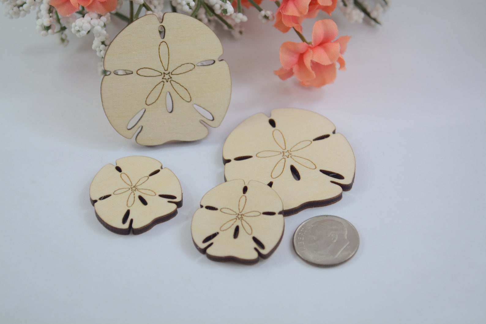 Wood Sand Dollar Cutouts Sand Dollar Favor Tags Wooden Sand - Etsy