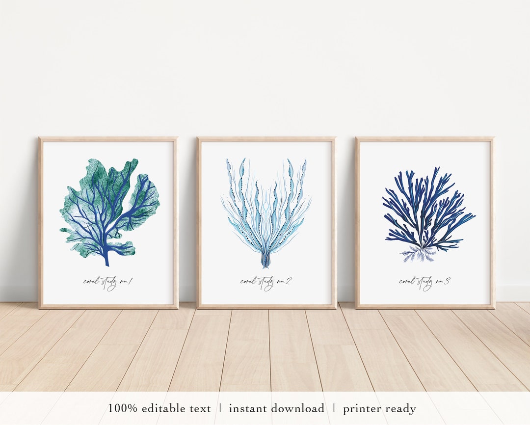 Printable Beach Wall Art INSTANT DOWNLOAD Set of 3 Coastal - Etsy