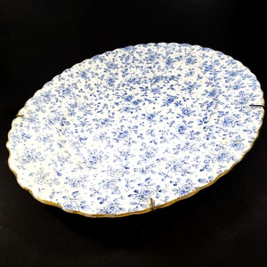 Blue White Chintz Platter Molded Features & Plate Holder Royal Doulton England Antique 1910 To 1920s image 1