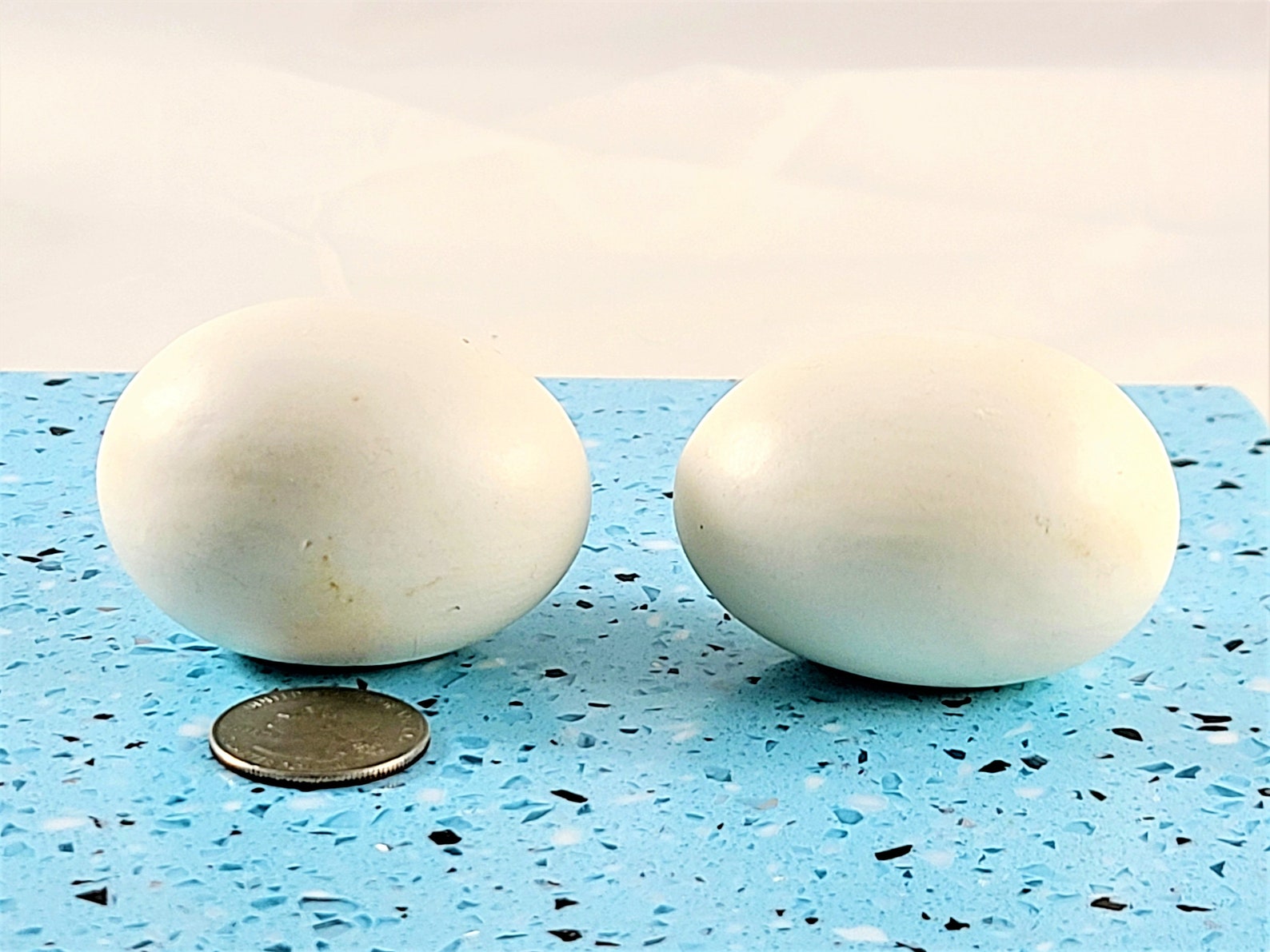 Small Wire Chicken Egg Basket With 2 Ceramic Eggs 50s 60s Etsy