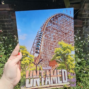 Könnte beinhalten: Ein rechteckiger Druck, der eine Holzachterbahn mit einem Zug zeigt, der vor einem blauen Himmel die Schienen hinauffährt. Der Text Walibi und UNTAMED steht in großen, fetten Buchstaben unten, mit grünen Bäumen und lila Blumen im Vordergrund.