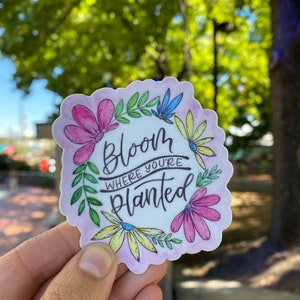 Bloom Where You're Planted Watercolor Sticker, Calligraphy Sticker, Watercolor Decal, Laptop Decal, Phone Sticker, Stocking Stuffer