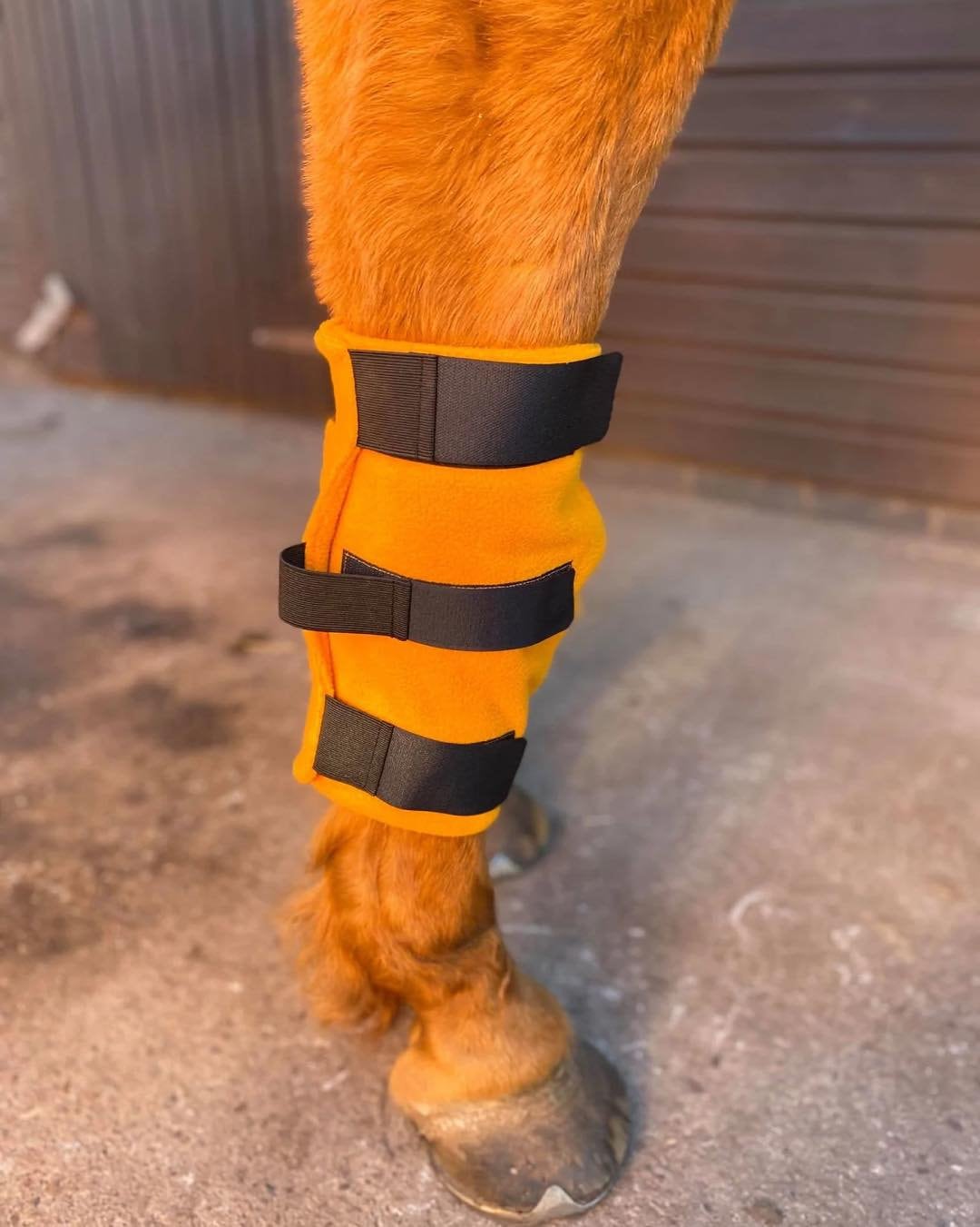 Knee Boots / Fleece Knee Boots / Horse Knee Boots / Pony Knee Boots Etsy UK