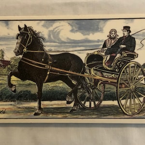 May include: A black horse pulling a carriage with two people inside. The carriage has a brown wooden frame and a black leather seat. The horse is wearing a brown leather harness. The carriage is on a dirt road with green grass and trees in the background. The text "Tricse Sjees" is printed on the bottom left corner of the image.
