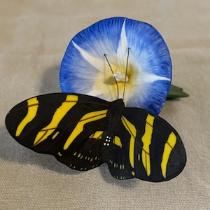 May include: A black butterfly with yellow stripes rests in front of a blue and white flower. The butterfly has a detailed wing pattern. The flower has a trumpet shape with a white center. The background is a neutral beige.
