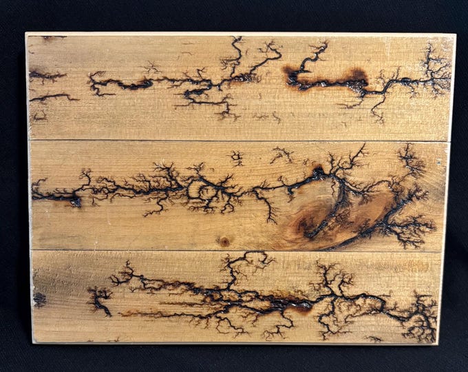 Artisan Lichtenburg Fractal Wood Wall Plaque