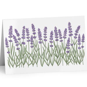 Carte de vœux avec fleurs de lavande pressées - Une jolie carte pour toutes les occasions avec un motif floral - Enveloppe incluse
