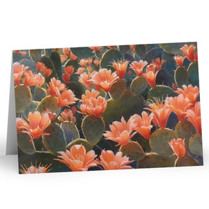 Cartes de voeux fleurs de cactus 4 x 15 cm - vierges à l'intérieur - Sélectionnez une carte ou un paquet de dix cartes avec un magnifique motif de fleurs de cactus pêche