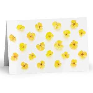 All Occasion Greeting Card With a Lovely Yellow Pressed Flower Print - Blank Inside - Select One Card or a Pack of Ten Cards