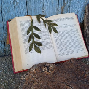Segnalibro a forma di foglia di frassino. Segnalibro in pelle a forma di foglia d'albero. Segnalibro a forma di foglia di frassino. Libro di carta regalo per lettori