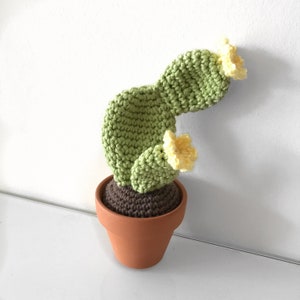 Crochet Pattern Cactus Bundle image 7