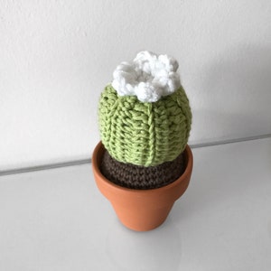Crochet Pattern Cactus Bundle image 4
