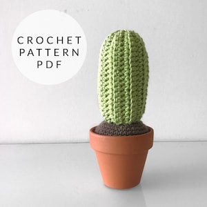 Crochet Pattern - Tall Cactus