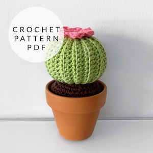 Crochet Pattern - Round Barrel Cactus