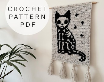 Crochet Pattern - Shadow the Skeleton Cat Halloween Wall Hanging