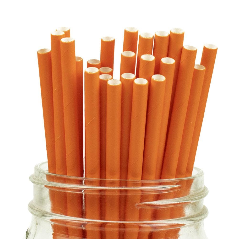 Orange Paper Straws Bright Beautiful Compostable Party Etsy