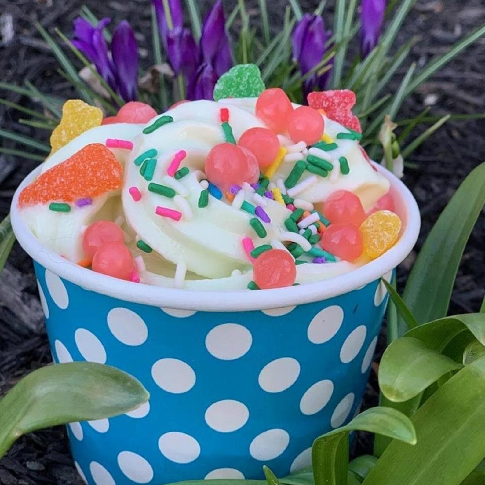 12 oz Blue Polka Dot Ice Cream Cups Disposable Cups Ice Etsy