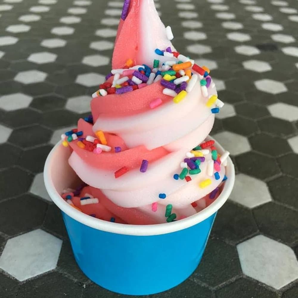 16 oz Blue Ice Cream Cups Disposable Paper Cups Ice Cream Etsy