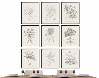 Botanical Print Set - Print Set of 9 - Botanical Prints - Vintage Prints - Wall Art Prints - Farmhouse Prints - Farmhouse Decor - Prints