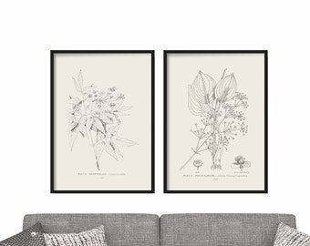 Vintage Botanical Print Set: Antique Floral Line Art