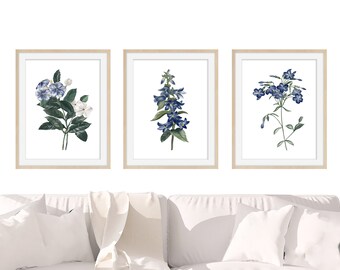 Botanical Print Set of 3 - Botanical Blue Flowers- Wall Art Print - Watercolor Blue Flowers - Farmhouse Print Set - 3 Prints of Watercolor