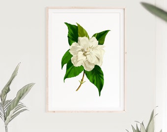 White Floral Print - Watercolor Flower Painting - Floral Wall Art Print - Watercolor Flower Print - Art Print Watercolor - Wall Art Decor