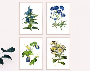 Botanical Print Set of 4 - Botanical Illustration - Botanical Art Print - Art Prints - Vintage Botanical Print Set of 4 - Botanical Poster