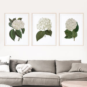 White Hydrangea Watercolor Print Set of 3, White Floral Prints, Wall Art Prints, White Floral Wall Art Decor, Boho Wall Decor, Farmhouse Art