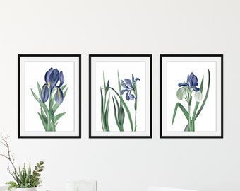 Blue Flower Prints - Watercolor Print set of 3 - Iris Prints - Spring Flowers Art Print - Wall Art Print - Watercolor Floral Prints - Iris