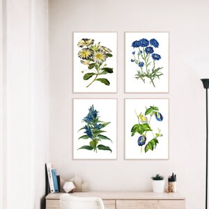 Botanical Print Set of 4 Botanical Illustration Botanical Art Print Art Prints Vintage Botanical Print Set of 4 Botanical Poster image 4