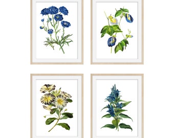 Botanical Print Set of 4 - Botanical Illustration - Botanical Art Print - Art Prints - Vintage Botanical Print Set of 4 - Botanical Poster