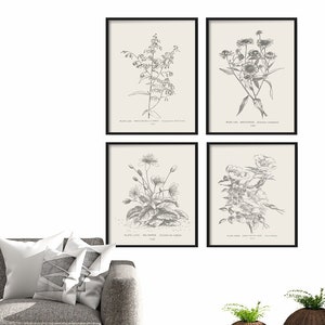 Botanical Print Set of 4 Botanical Vintage Prints, Antique Botanical Print Set, Vintage Botanical Prints Rustic Decor Home Decor Art Bild 1