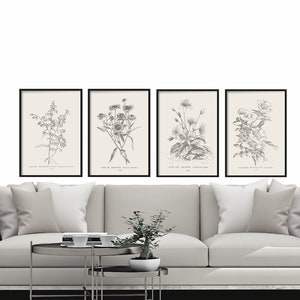 Botanical Print Set of 4 Botanical Vintage Prints, Antique Botanical Print Set, Vintage Botanical Prints Rustic Decor Home Decor Art image 3