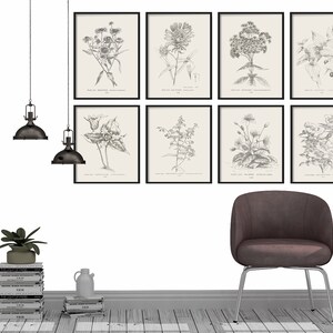 Farmhouse Print Set Botanical Print Set of 8 Vintage Prints Wall Art ...