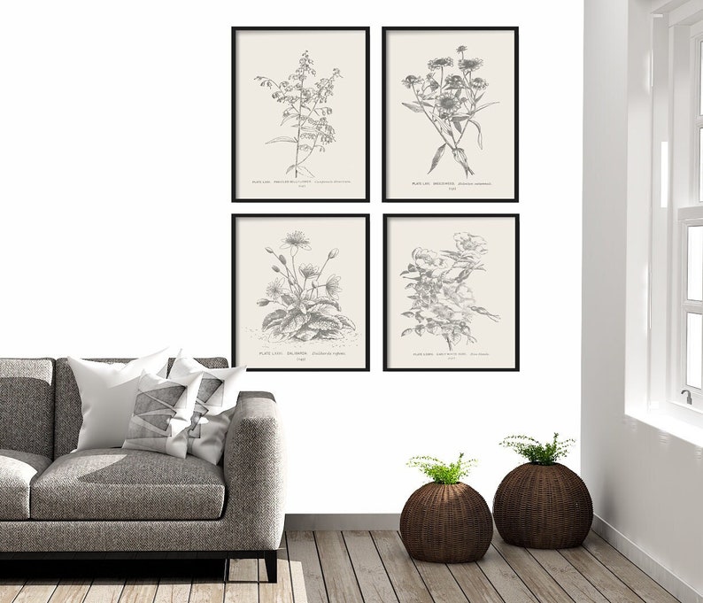 Botanical Print Set of 4 Botanical Vintage Prints, Antique Botanical Print Set, Vintage Botanical Prints Rustic Decor Home Decor Art Bild 1