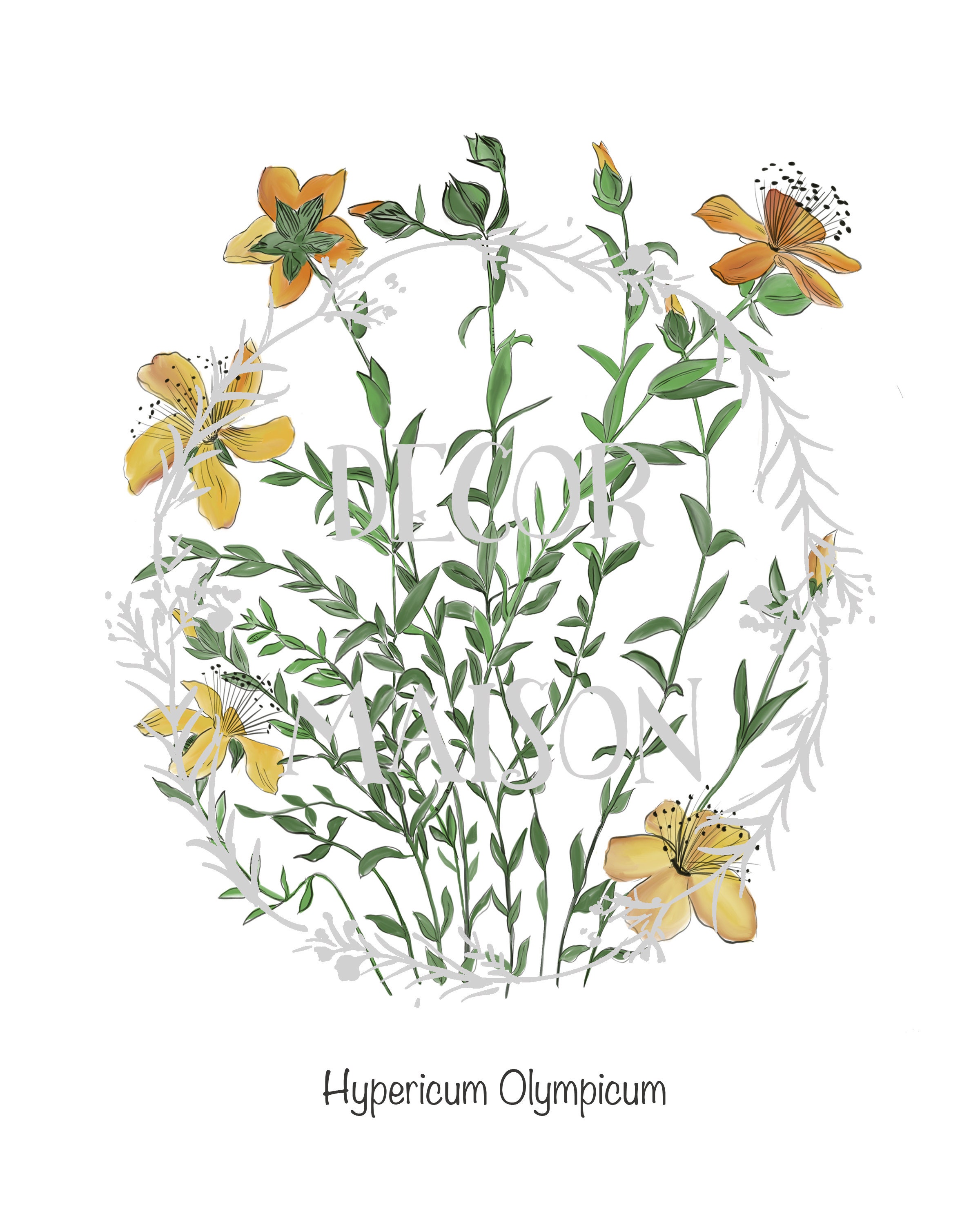 Botanical Prints Botanical Illustration Botanical Art | Etsy