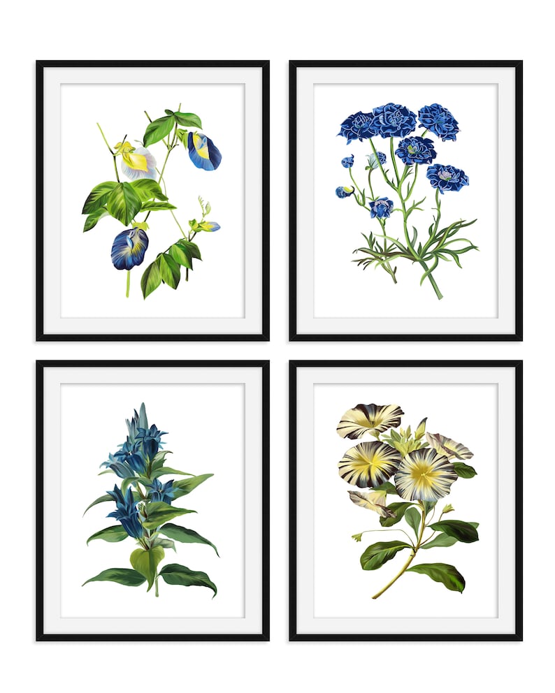 Botanical Print Set of 4 Botanical Illustration Botanical Art Print Art Prints Vintage Botanical Print Set of 4 Botanical Poster image 3