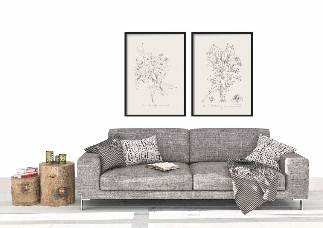 Vintage Botanical Print Set: Antique Floral Line Art - Etsy