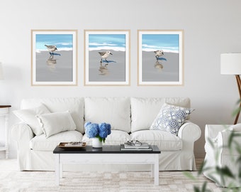 Bird Prints - Bird Set of 3 Prints - Sandpiper Prints - Bird Paintings - Wall Decor - Wall Art Prints - Bird Wall Art - Nautical Beach Decor