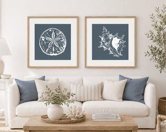 Coastal Seashell Print Set of 2,  Sand Dollar  and a Reef Conch Wall Art, Vintage Marine Shell Illustrations, Beach House Decor