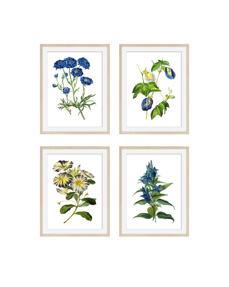 Botanical Print Set of 4 Botanical Illustration Botanical Art Print Art Prints Vintage Botanical Print Set of 4 Botanical Poster image 1