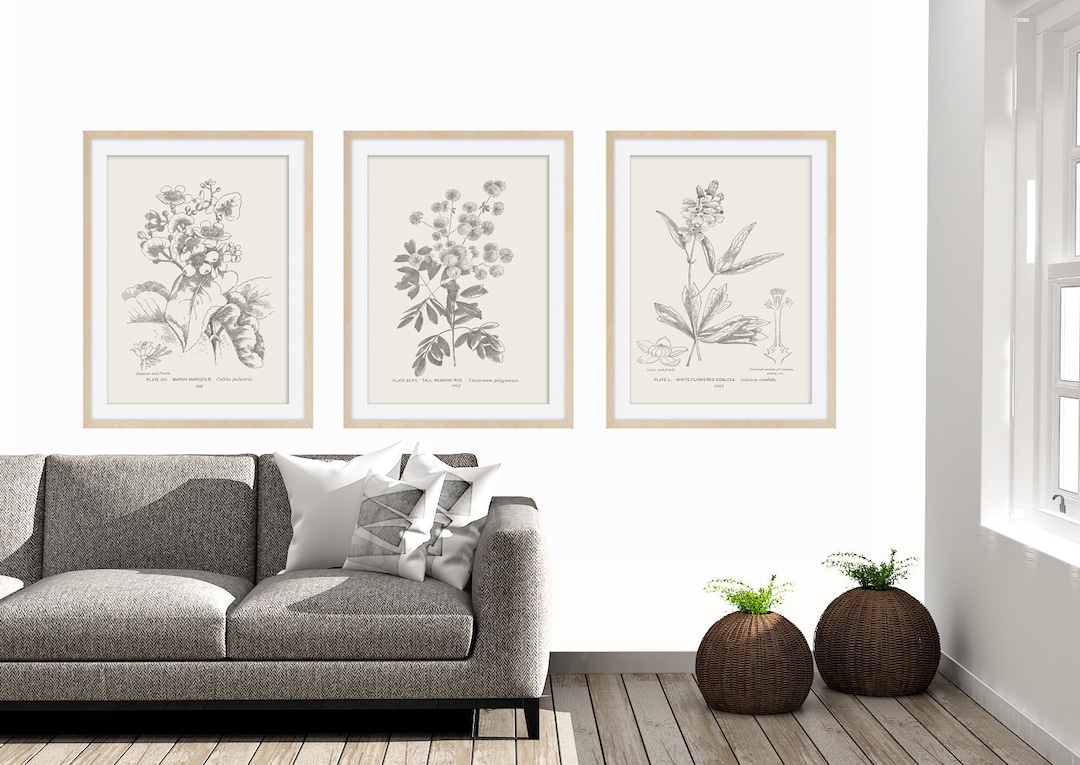 Botanical Print Set Illustration Prints Vintage Farmhouse - Etsy