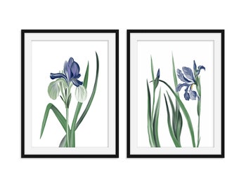 Watercolor Print set of 2 - Botanical Art Print - Iris Wall Art Prints - Watercolor Prints - Watercolor Blue Iris Print Set - Blue Flowers