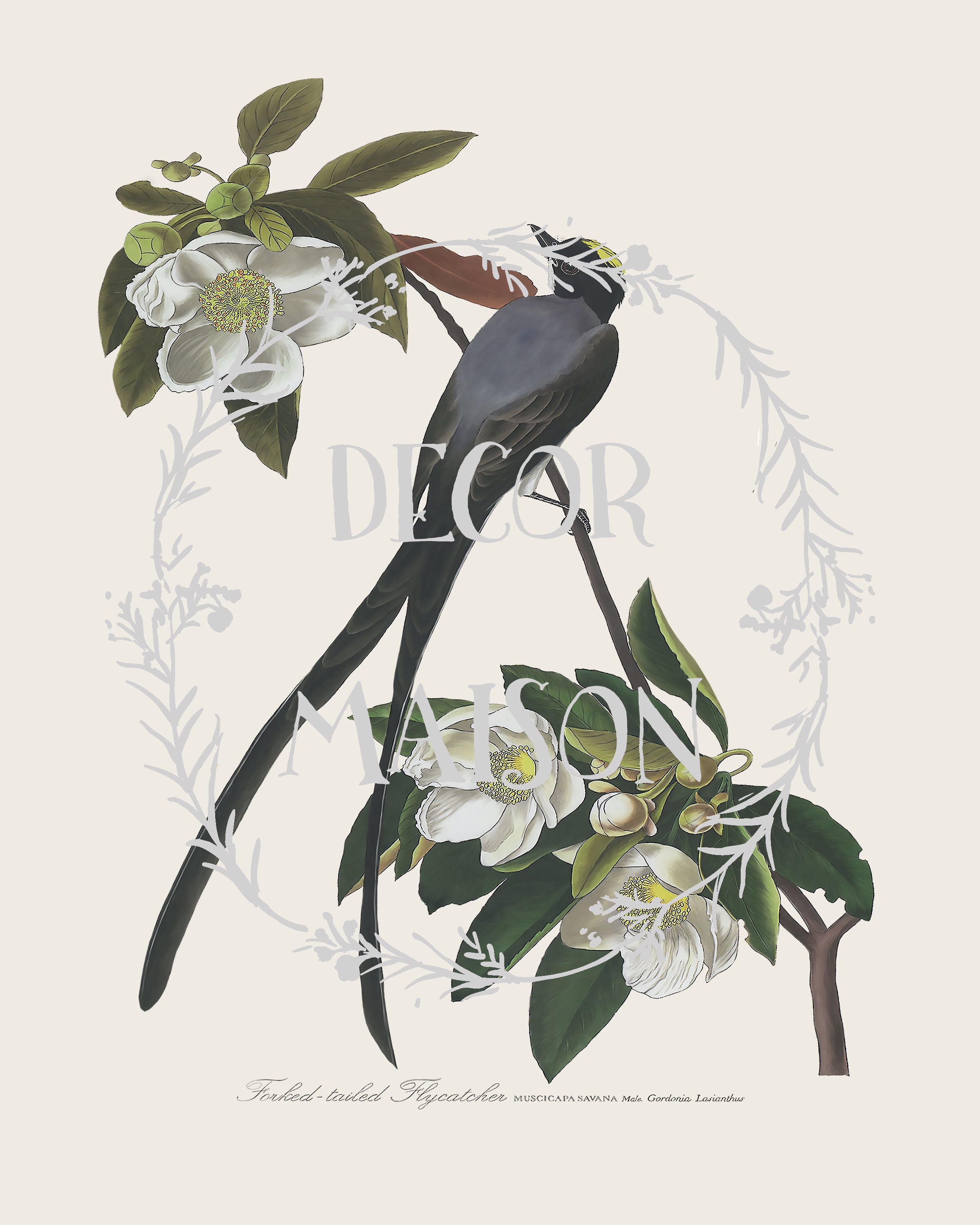 Farmhouse Decor Print Set of Birds Botanical Print Set of 2 Etsy