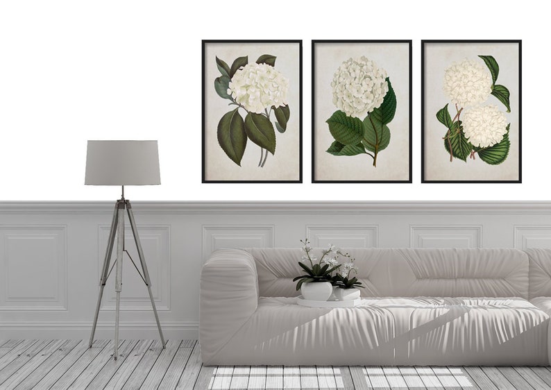 Farmhouse Decor Botanical Print Set Wall Hanging Prints Home Art Vintage Rustic