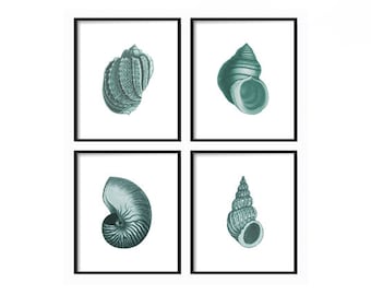 Seashell Print Set of 4 - Shell Prints - Art Prints - Coastal Decor - Coastal Home Decor - Vintage Seashell Print - Beach Decor - Beach Art