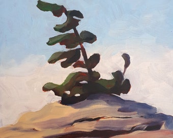 One Tree - Georgian Bay - Canadian Shield - 8x8 oil painting