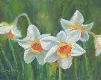 Daffodil Display